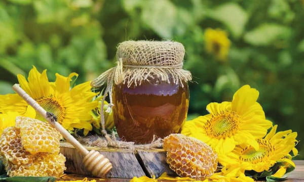 تصویر 4 از قیمت خرید عسل چهل گیاه با فروش عمده